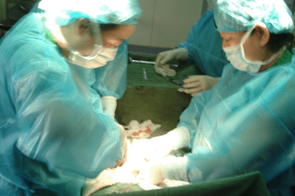 点击图片进入下一页